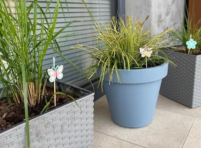 Apartament Apartament Kołobrzeg Resort