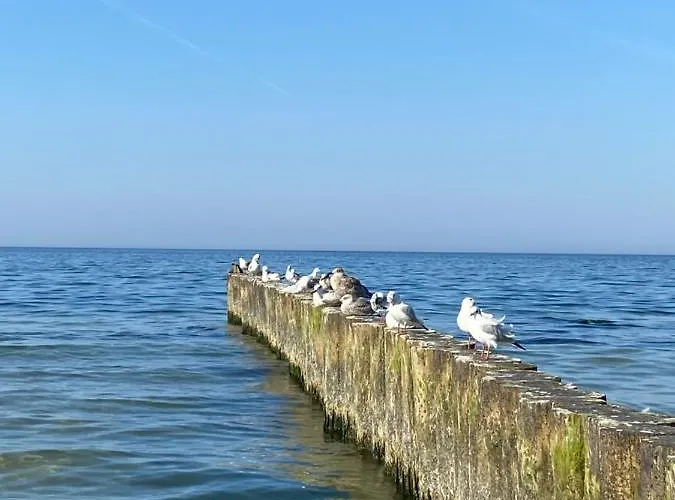 Apartament Apartament Kołobrzeg Resort Kołobrzeg