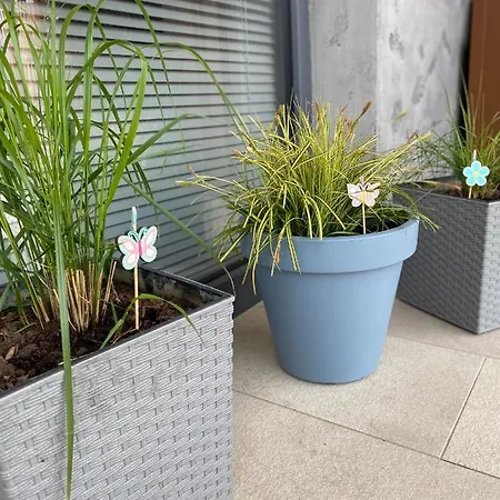 Daire Apartament Kolobrzeg Resort